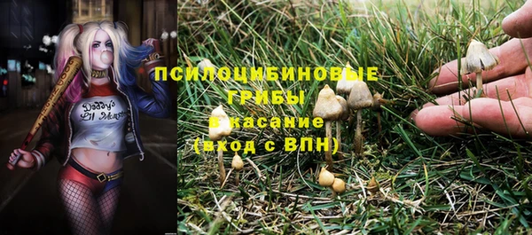 соль курить ск Аркадак